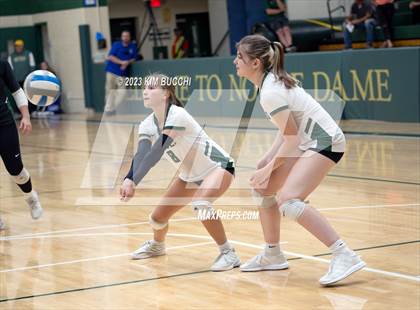 Thumbnail 3 in Groves vs Walled Lake Western (NDP Quad) photogallery.