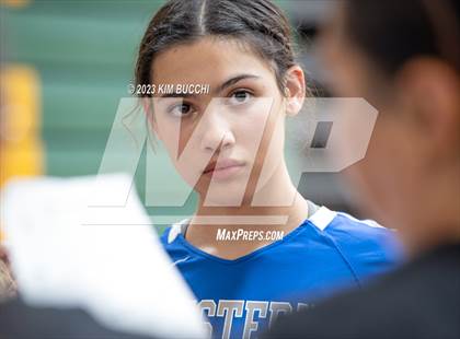 Thumbnail 3 in Groves vs Walled Lake Western (NDP Quad) photogallery.