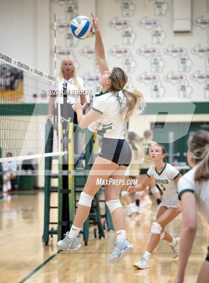 Thumbnail 3 in Groves vs Walled Lake Western (NDP Quad) photogallery.