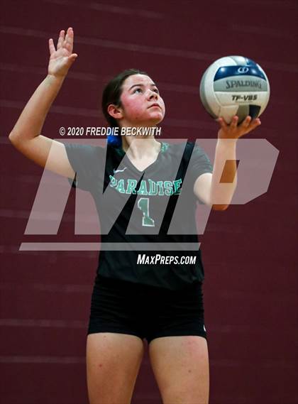 Thumbnail 1 in Paradise @ Whitesboro photogallery.
