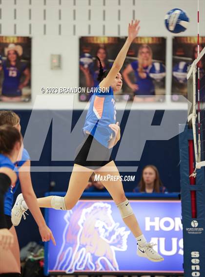 Thumbnail 3 in Dundee @ Penn Yan Academy photogallery.