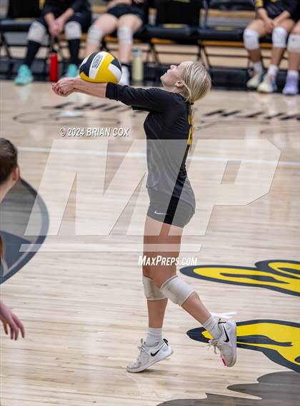 Thumbnail 2 in Highland vs Quitman (Salem Volleyball Tournament) photogallery.