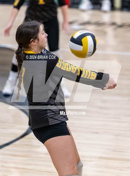 Thumbnail 3 in Highland vs Quitman (Salem Volleyball Tournament) photogallery.