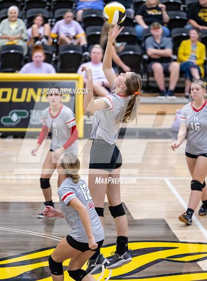 Thumbnail 1 in Highland vs Quitman (Salem Volleyball Tournament) photogallery.