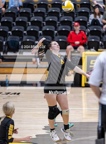 Thumbnail 1 in Highland vs Quitman (Salem Volleyball Tournament) photogallery.