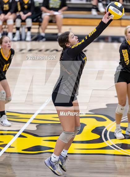 Thumbnail 3 in Highland vs Quitman (Salem Volleyball Tournament) photogallery.