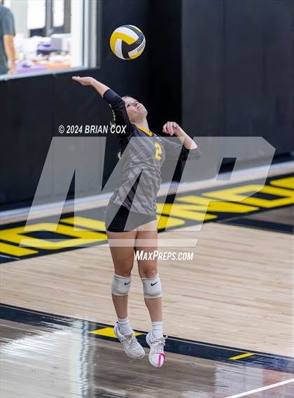 Thumbnail 1 in Highland vs Quitman (Salem Volleyball Tournament) photogallery.