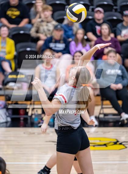 Thumbnail 3 in Highland vs Quitman (Salem Volleyball Tournament) photogallery.