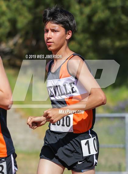 Thumbnail 1 in SacTown Races (Middle and Long Distances) photogallery.