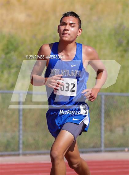 Thumbnail 2 in SacTown Races (Middle and Long Distances) photogallery.