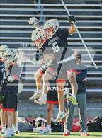 Photo from the gallery "Redwood @ San Marin"