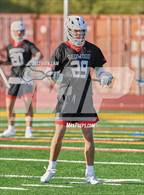 Photo from the gallery "Redwood @ San Marin"