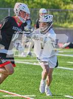 Photo from the gallery "Redwood @ San Marin"