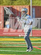 Photo from the gallery "Redwood @ San Marin"