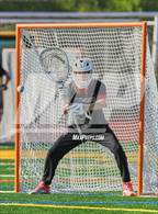 Photo from the gallery "Redwood @ San Marin"