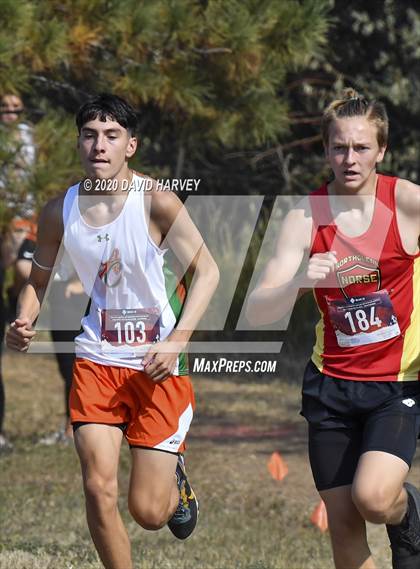 Thumbnail 2 in Boys 5A XC Region3 Regional photogallery.