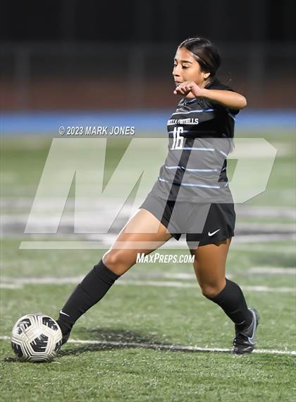 Thumbnail 1 in Cactus @ Estrella Foothills (Senior Night) photogallery.