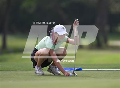 Thumbnail 2 in UIL 6A Golf State Finals (Round 2) photogallery.