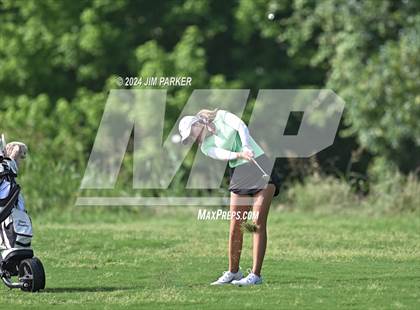 Thumbnail 1 in UIL 6A Golf State Finals (Round 2) photogallery.