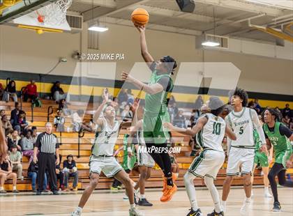 Thumbnail 2 in Cary @ Pine Forest photogallery.