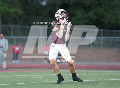 Thumbnail 2 in Manvel @ Magnolia West photogallery.