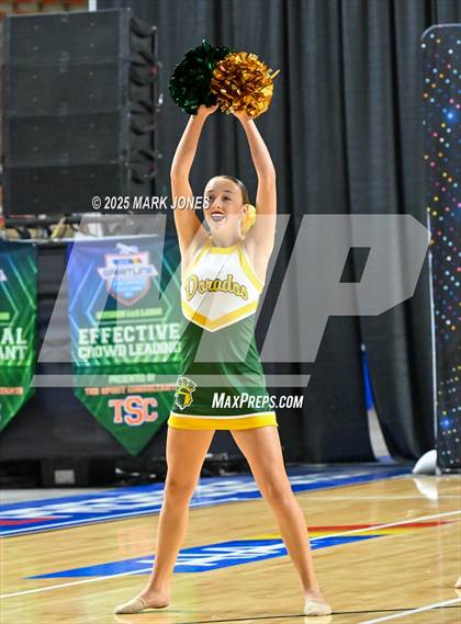 Thumbnail 3 in Canyon del Oro - Dance Game Day Championships (AIA Division I, II)  photogallery.
