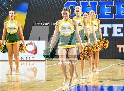 Thumbnail 3 in Canyon del Oro - Dance Game Day Championships (AIA Division I, II)  photogallery.