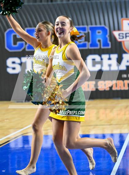 Thumbnail 3 in Canyon del Oro - Dance Game Day Championships (AIA Division I, II)  photogallery.
