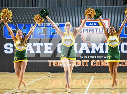 Thumbnail 1 in Canyon del Oro - Dance Game Day Championships (AIA Division I, II)  photogallery.