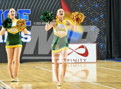 Thumbnail 1 in Canyon del Oro - Dance Game Day Championships (AIA Division I, II)  photogallery.