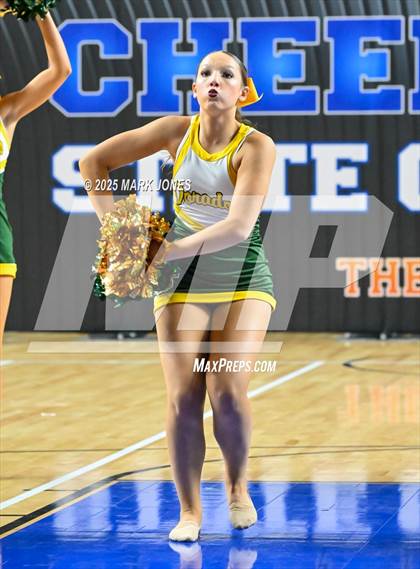 Thumbnail 2 in Canyon del Oro - Dance Game Day Championships (AIA Division I, II)  photogallery.