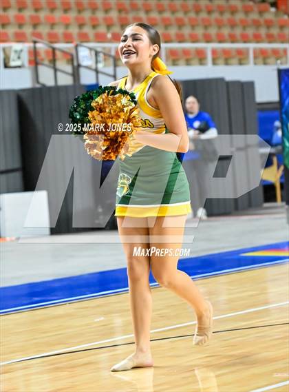 Thumbnail 3 in Canyon del Oro - Dance Game Day Championships (AIA Division I, II)  photogallery.
