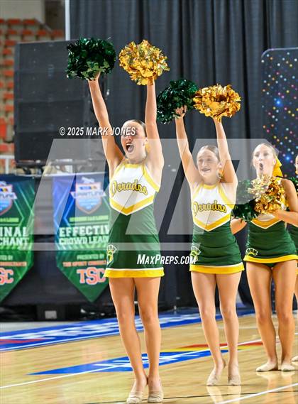 Thumbnail 3 in Canyon del Oro - Dance Game Day Championships (AIA Division I, II)  photogallery.