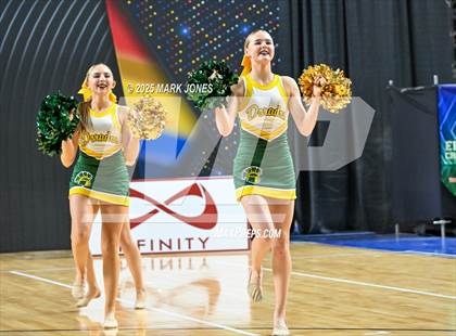 Thumbnail 2 in Canyon del Oro - Dance Game Day Championships (AIA Division I, II)  photogallery.