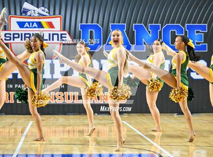 Thumbnail 3 in Canyon del Oro - Dance Game Day Championships (AIA Division I, II)  photogallery.