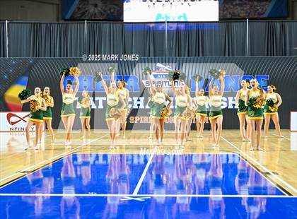 Thumbnail 3 in Canyon del Oro - Dance Game Day Championships (AIA Division I, II)  photogallery.