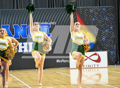 Thumbnail 3 in Canyon del Oro - Dance Game Day Championships (AIA Division I, II)  photogallery.