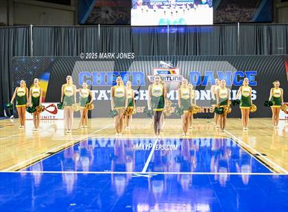 Thumbnail 2 in Canyon del Oro - Dance Game Day Championships (AIA Division I, II)  photogallery.