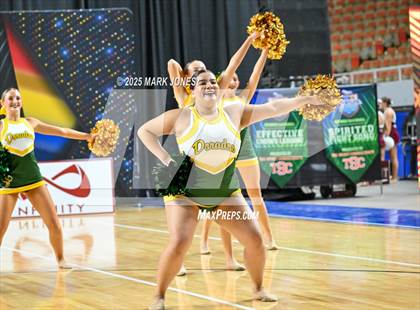 Thumbnail 3 in Canyon del Oro - Dance Game Day Championships (AIA Division I, II)  photogallery.