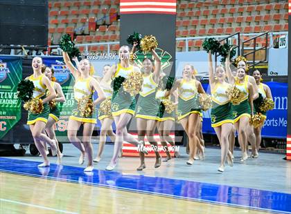 Thumbnail 2 in Canyon del Oro - Dance Game Day Championships (AIA Division I, II)  photogallery.