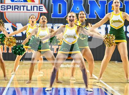 Thumbnail 3 in Canyon del Oro - Dance Game Day Championships (AIA Division I, II)  photogallery.