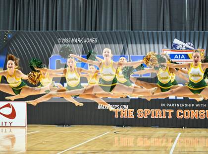 Thumbnail 3 in Canyon del Oro - Dance Game Day Championships (AIA Division I, II)  photogallery.