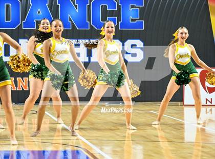 Thumbnail 1 in Canyon del Oro - Dance Game Day Championships (AIA Division I, II)  photogallery.