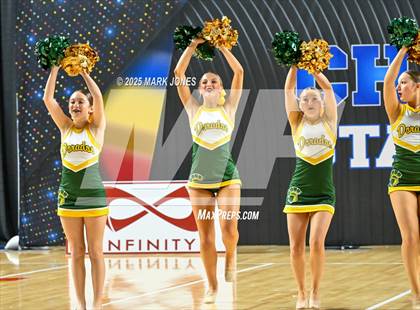Thumbnail 2 in Canyon del Oro - Dance Game Day Championships (AIA Division I, II)  photogallery.