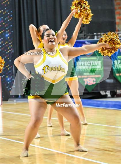 Thumbnail 1 in Canyon del Oro - Dance Game Day Championships (AIA Division I, II)  photogallery.