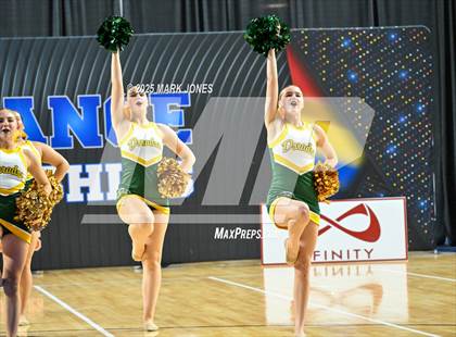 Thumbnail 2 in Canyon del Oro - Dance Game Day Championships (AIA Division I, II)  photogallery.