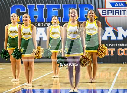 Thumbnail 2 in Canyon del Oro - Dance Game Day Championships (AIA Division I, II)  photogallery.
