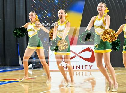 Thumbnail 2 in Canyon del Oro - Dance Game Day Championships (AIA Division I, II)  photogallery.