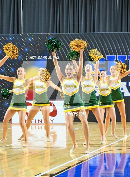 Thumbnail 2 in Canyon del Oro - Dance Game Day Championships (AIA Division I, II)  photogallery.