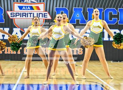 Thumbnail 2 in Canyon del Oro - Dance Game Day Championships (AIA Division I, II)  photogallery.